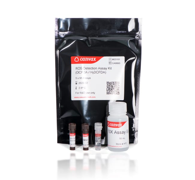ROS Detection Kit, 5X96 ASSAYS