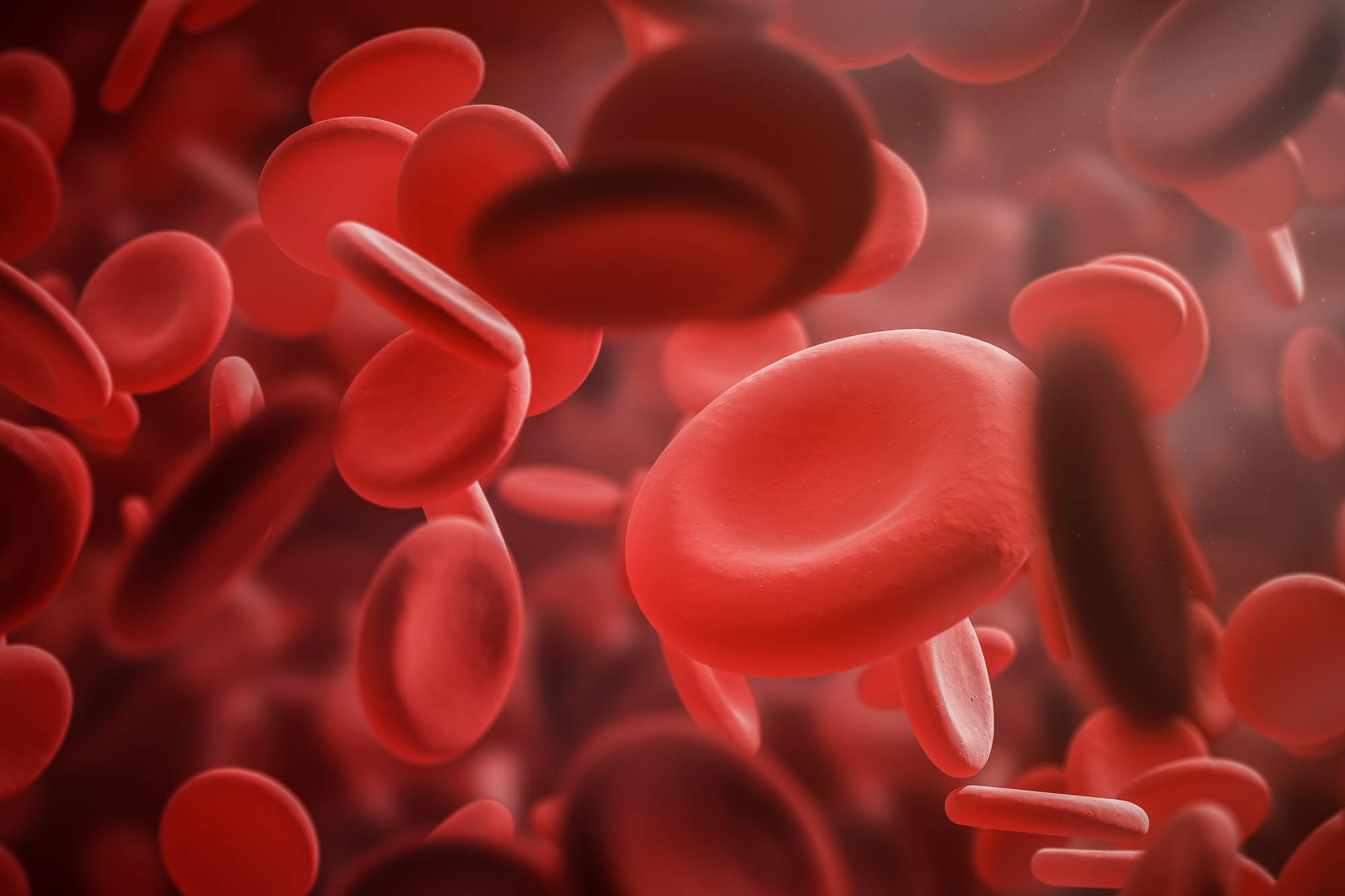 Blood platelets